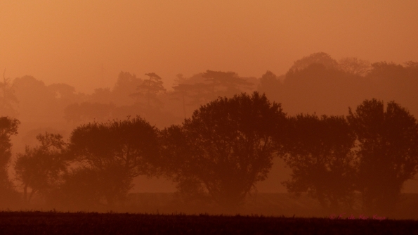Brume au lever du soleil